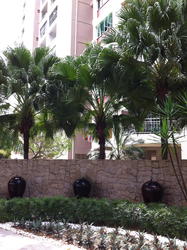 Tampines Court (Enbloc) (D18), Condominium #119158572